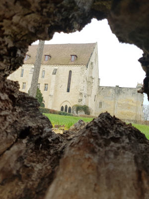 royaumont team building